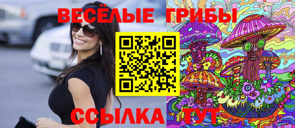 Галлюциногенные грибы Cubensis Кандалакша