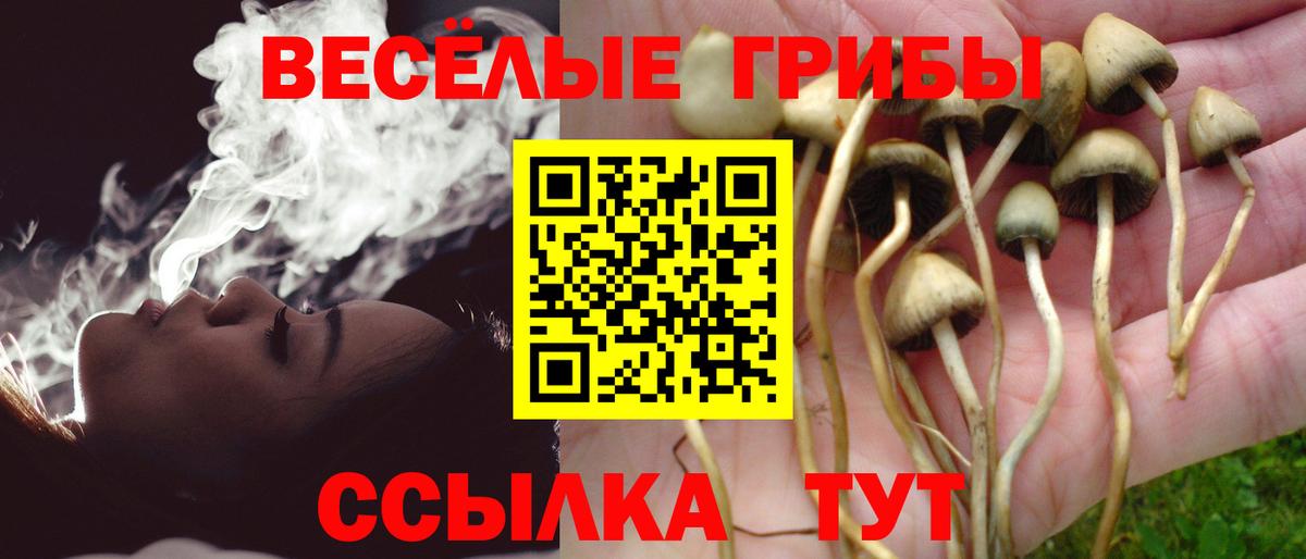 Псилоцибиновые грибы Magic Shrooms  Вход с VPN  Кандалакша 