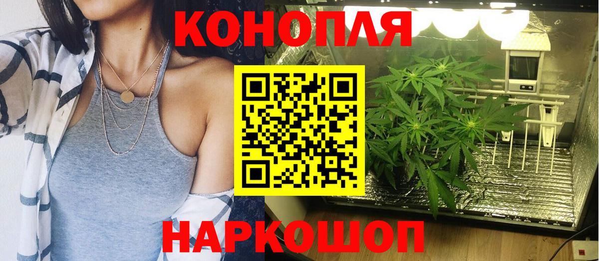 Марихуана Amnesia Кандалакша
